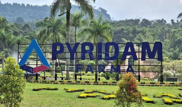 PYFA: Laba Kuartal I Lampaui Rp766 Miliar