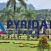 PYFA: Laba Kuartal I Lampaui Rp766 Miliar