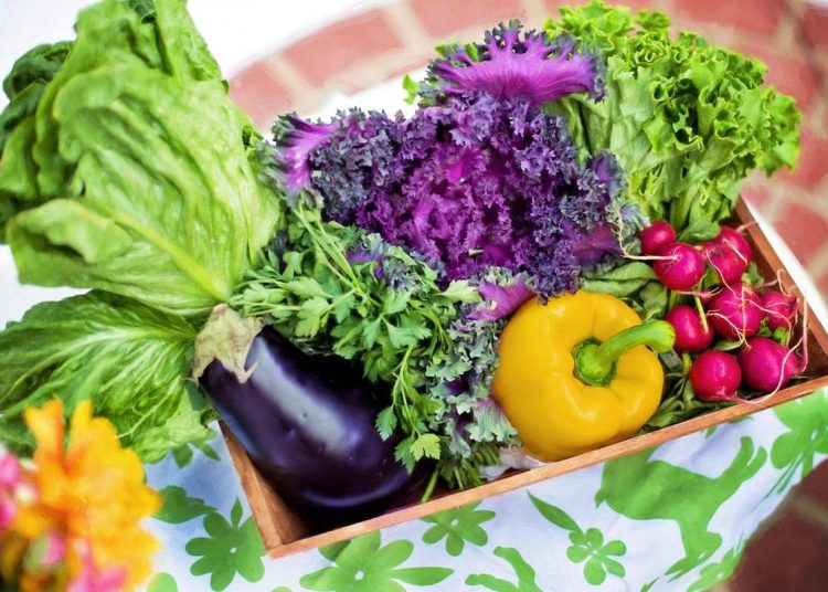 Sayur Langka Ibu Hamil: Dampak Tersembunyi Kehamilan