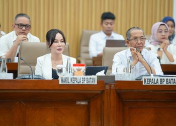 Komisi VI DPR RI Apresiasi Kinerja BP Batam, Dinilai Sukses Optimalkan PNBP Tanpa APBN