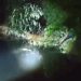 Buaya Nongol di Parit Belakang SP Plaza, Warga Sagulung Langsung Heboh