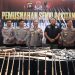 Polda Sumsel Musnahkan Ratusan Senpi Ilegal