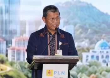 Dihadiri Dubes Swedia, PLN Batam Pasok Tambahan Listrik 300 MW Demi Manjakan Investor Data Center