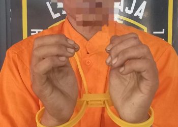 Manfaatkan Situasi Salat Jumat, Pencuri Kabel Genset di Nagoya Thamrin Diringkus Polsek Lubuk Baja