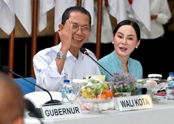 Terima Pansus DPR dan DPD RI, Wali Kota Batam Amsakar Achmad Suarakan Keadilan Fiskal RUU Daerah Kepulauan