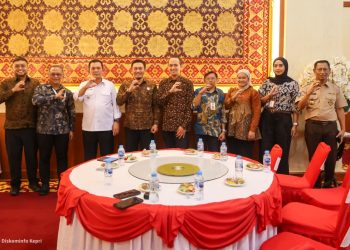 Gubernur Ansar Bahas Sinergi Konektivitas dan Green Energy dengan PLN Icon Plus