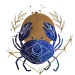 Ramalan Zodiak Cancer 1 Agustus 2026: Cinta, Karir, Kesehatan, dan Keuangan