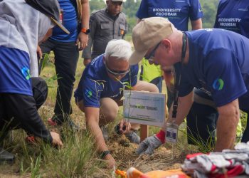 BP Batam Gandeng McDermott dan UIS Batam Tanam Pohon Demi Jaga Air Baku Batam
