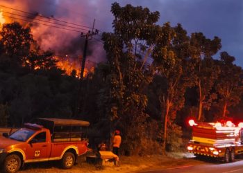Tim Gabungan Padamkan Karhutla 35 Hektare di Trans Barelang