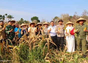 Panen Bersama di Toapaya, Wagub Nyanyang Apresiasi Kerja Keras Poktan Bintan Jaya
