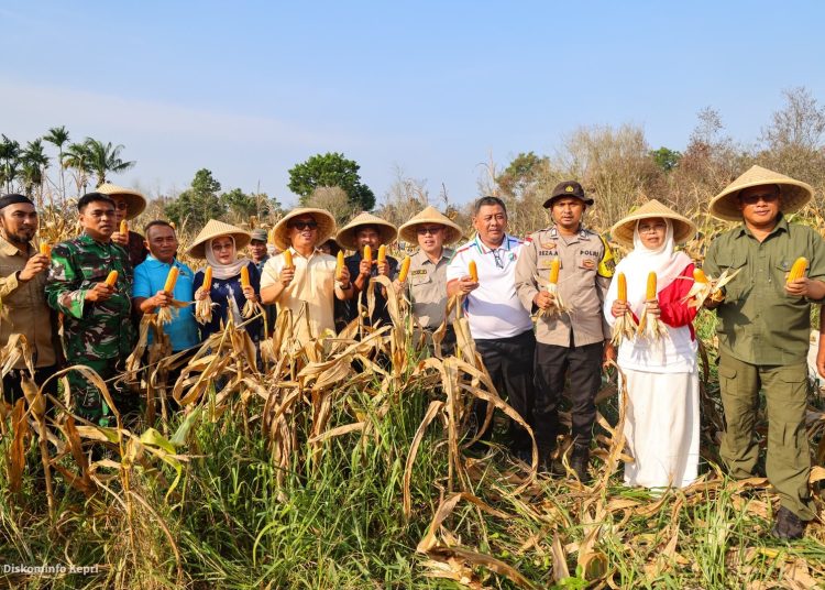 Panen Bersama di Toapaya, Wagub Nyanyang Apresiasi Kerja Keras Poktan Bintan Jaya