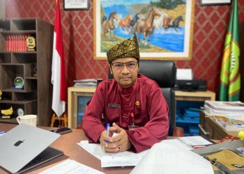 NIB Tak Bebas Lakukan Penimbunan Lahan, Pemko Tanjungpinang Minta Pelaku Usaha Taati KBLI