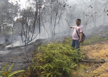 Respons Cepat Polsek Nongsa, Kebakaran Hutan Lindung Dam Duriangkang Berhasil Dipadamkan