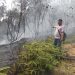 Respons Cepat Polsek Nongsa, Kebakaran Hutan Lindung Dam Duriangkang Berhasil Dipadamkan