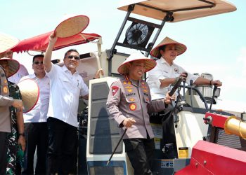 Manajer Kopdes Merah Putih Berstatus PKWT Dua Tahun, Gaji Disesuaikan UMK