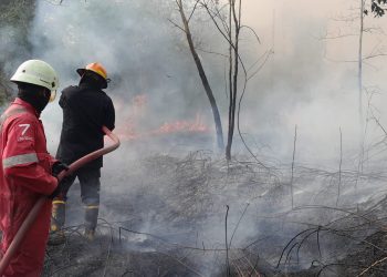 Lahan Semak Dua Hektare Terbakar di Teluk Lobam, Tim Gabungan Polsek Binut Padamkan Api