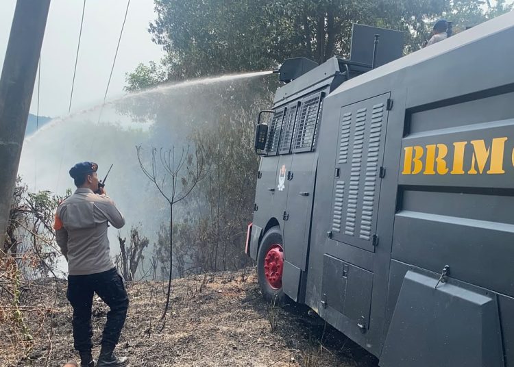 Respon Cepat Bahaya Karhutla, Tim SAR Polda Kepri Padamkan Kebakaran Lahan di Galang dan Nongsa