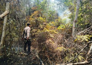 Cepat Tanggap Karhutla, Tim Gabungan Padamkan Kebakaran Lahan Setengah Hektare di Desa Mepar