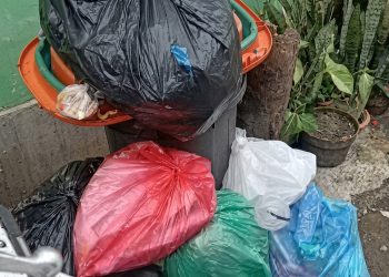 3 Minggu Tak Diangkut, Tumpukan Sampah di Bengkong Kolam Dikeluhkan Warga