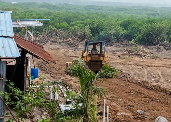 Buldoser Ratakan Lahan di Kampung Tua Bagan, Diduga Timbun Mangrove untuk KSB Ilegal