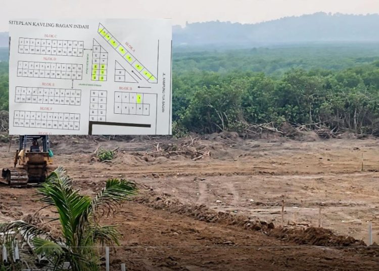 Pematangan Lahan di Kampung Tua Bagan Ternyata Proyek Kavling Bagan Indah, 148 Unit Dijual Mulai Rp30 Juta