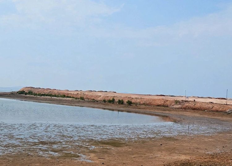 Reklamasi Laut di Batam Center Disorot, Pesisir Mangrove Berubah Jadi Timbunan