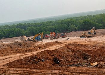 Mangrove Ditimbun, Izin Belum Ada: Pematangan Lahan 1,6 Ha di Sei Beduk Disorot
