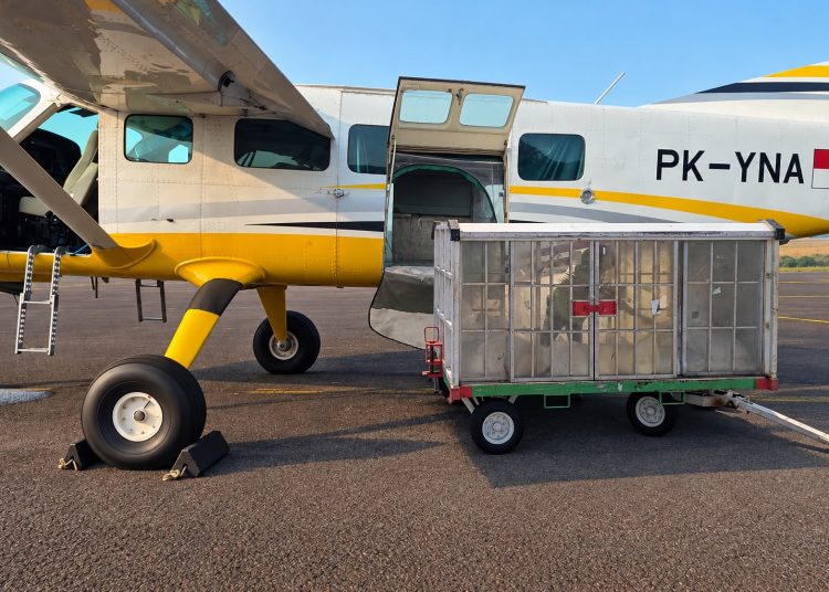 BP Batam Gelar Operasi Modifikasi Cuaca untuk Atasi Kekeringan Waduk