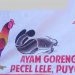 Surat Pemkab Sigi Ditemukan Jadi Alas Nasi Pecel di Jakarta, Bupati Beri Klarifikasi