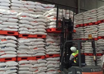 Bulog Longgarkan Pembayaran Beras SPHP untuk Kopdes Merah Putih, Tempo 30 Hari