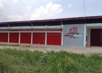 159 Manajer Kopdes Merah Putih Mundur, Agrinas Tegaskan Pembinaan SDM Tak Sia-sia