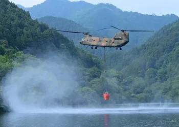Prabowo Setujui Bantuan Negara Tetangga untuk Percepat Penanganan Karhutla