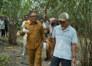 Dorong Agrowisata Unggulan, Wagub Nyanyang Minta Perkebunan Salak Sari Intan Bintan Dikembangkan