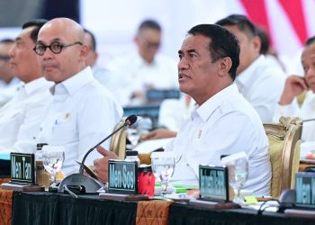 Sidang Kabinet Paripurna: Pemerintah Siapkan 2 Juta Hektare Lahan untuk Swasembada Pangan